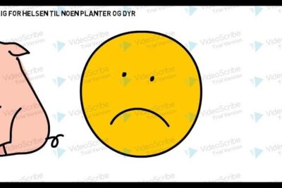 A sad yellow face next to a pig suggesting worry about genmodifisert mat 5.