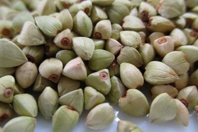 Close-up of green triangular groats for gluteeniton kaura and gluten-free recipes.