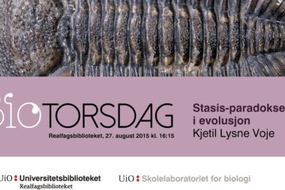Close-up of a trilobite fossil on a university lecture poster about the stasis paradox in evolution imot kreasjonisme