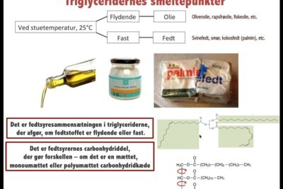 Diagram of triglyceride melting points, oils and solid fats with chemical structures illustrating fatty acid composition and kemiske synteseteori.