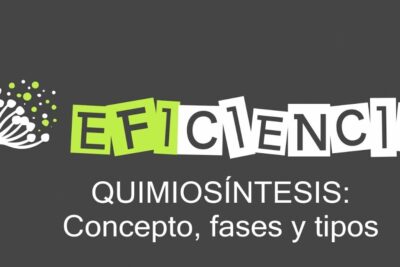 Dark grey infographic header with green 'EFICIENCIA' logo, stylized root illustration and the heading 'QUIMIOSÍNTESIS: Concepto, fases y tipos' labeled la quimiosintesis 1.
