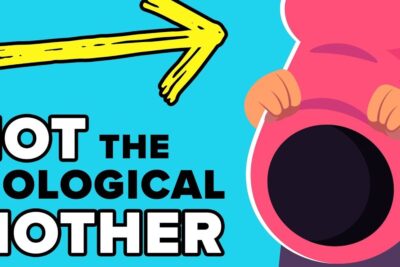 Cartoon pregnant belly and bold text 'Not the Biological Mother' highlighting la surrogacy.