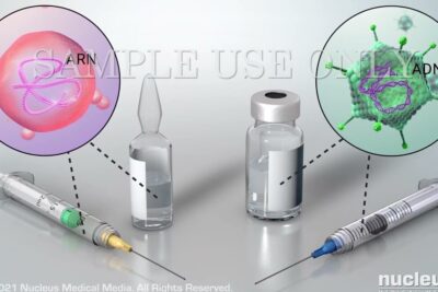 Medical illustration comparing RNA and DNA vaccine concepts with two syringes and glass vials, la vacunacion 2.
