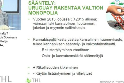 Presentation slide about cannabis regulation and Uruguay building a state monopoly, including laki suomessa 1.