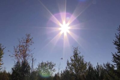A small aircraft silhouetted against a bright sun during landningen flygplan above treetops.