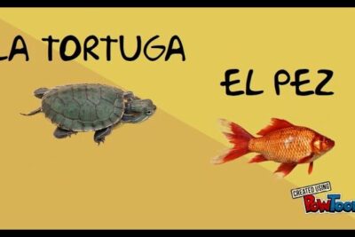 Turtle and goldfish illustration on a yellow background labeled las mascotas 1
