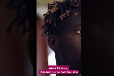 Close-up cropped portrait of a Black man with braided hair beside a French caption about le colonialisme.