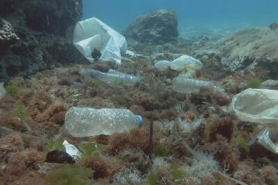Underwater image of le plastique bottles and bags littering a rocky seabed.