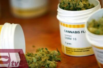 Close-up of cannabis buds and prescription-style jars highlighting legalizacion marihuana 36