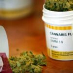 Legalización de la marihuana: ¡Reduce el consumo de drogas peligrosas ahora!