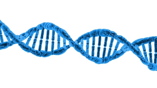 arguments en faveur et contre la théorie de la chimiosynthèse