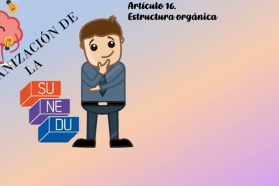 Illustration of a thinking character, brain icon and blocks referencing ley universitaria 1 and Article 16 organizational structure.