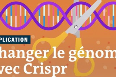 An illustrated DNA double helix being cut by scissors representing lingenierie genetique and CRISPR gene editing.
