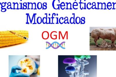 Poster-style collage illustrating los ogm 2 with injected corn, a bulky bull, petri dish microbial cultures and vibrant mushrooms.