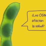 Argumentos a favor y en contra de los organismos genéticamente modificados