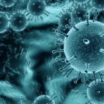 Virus: ¿Seres vivos o no? Descubre la verdad sobre su naturaleza