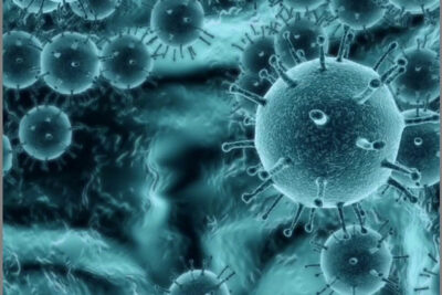 Close-up microscopic view of los virus 1 showing spherical viral particles with spike-like surface proteins.