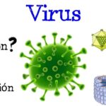 Un virus es un ser vivo si o no porque