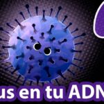 Argumentos a favor y en contra sobre la vida de los virus