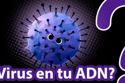 Purple spiky cartoon virus with angry eyes beside a large question mark, labeled los virus 3.