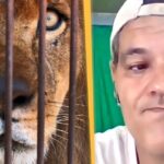 Argumentos a favor y en contra de los zoos