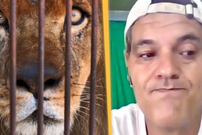 Close-up of a lion behind metal bars beside a man reacting on camera in los zoos 3.