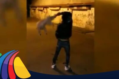 Person swinging a small dog in a dimly lit urban alley, maltrato animal 4.