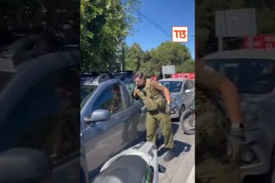 Uniformed officer leaning into a parked car at a roadside stop labeled maltratto animale 1.