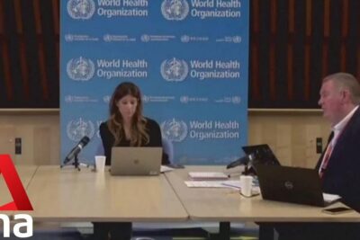Conference table with two participants, laptops and a World Health Organization banner discussing mandatory vaccination 1.