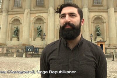Bearded man standing in front of a classical palace facade with statues monarkin sverige 2