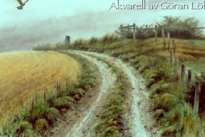 Watercolor painting of a winding dirt road beside golden grain fields and grassy hedgerows, naturlig mat 5