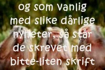 Three baboons with white handwritten Norwegian text overlay referencing nye loven