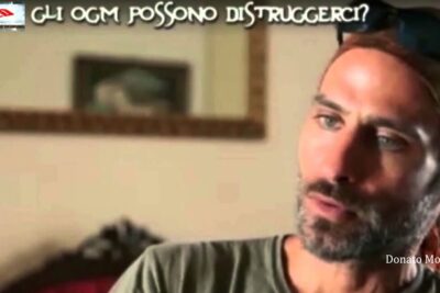 Thoughtful interview subject in a warm interior discussing ogm possono and the implications of genetically modified organisms