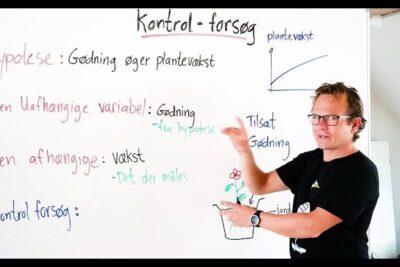 Instructor pointing at a whiteboard with handwritten notes and a plant growth diagram during a lesson about variables okonomisk vakst 4