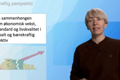 Presenter beside a slide illustrating okonomisk vekst 1 with a money bag, stacked cash and an upward growth arrow.