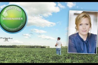 Field operator controlling a drone over a green crop field with an inset portrait, illustrating overvagande for crop monitoring