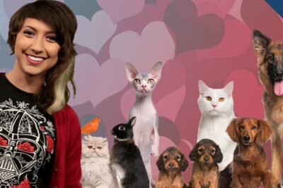Smiling person with dogs, cats, a rabbit and a bird illustrating the joys of owning pet companionship.
