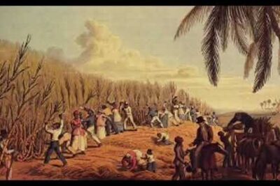 Plantation workers harvesting tall stalks near palm trees with carts and animals, partidos politicos 2.