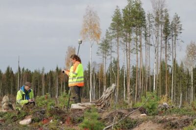 Two surveyors in high-visibility jackets using a GNSS pole to measure paverkan pa in a cleared forest clearing