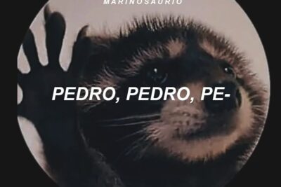 Close-up circular raccoon portrait with raised paw and bold text reading pedro pedro 1