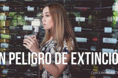 Female vocalist singing into a microphone in front of a wall of wine bottles and large 'En peligro de extinción' text, Vocalist by Wine Display — peligro extincion 1 promotional thumbnail.