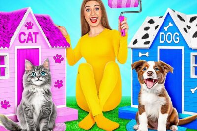 Smiling person in a bright yellow outfit sitting between a pink cat house and a blue dog house (perro casa) with a gray cat and a happy puppy
