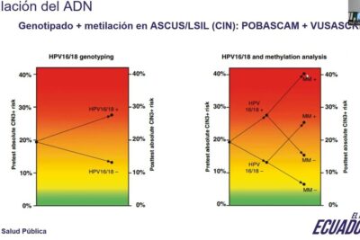 Color gradient charts comparing HPV16/18 genotyping and methylation analysis with pretest and posttest CIN3+ risk, highlighting perspectivas futuras.
