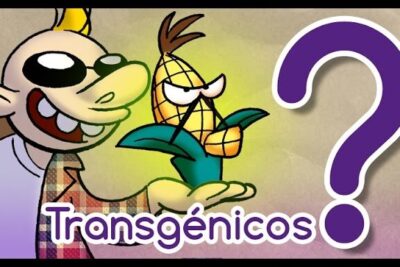 Playful cartoon character holds an annoyed ear of corn with a large question mark and the word 'Transgénicos' visible, representing plantas transgenicas 2.