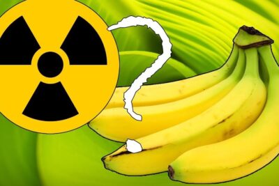 A bright bunch of bananas beside a radiation hazard icon and question mark asking if platanos contienen 1.