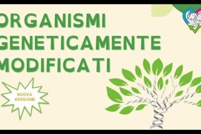 Banner with green 'Organismi Geneticamente Modificati' text and a DNA-helix tree graphic representing prodotti transgenici 1.