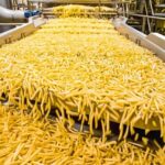 La verdad detrás del vegetarianismo y los argumentos en contra