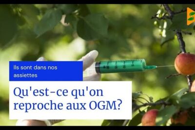 Gloved hand holding a green syringe injecting a ripe fruit on a tree branch, representing produits transgeniques