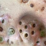 A favor o en desacuerdo del ser humano