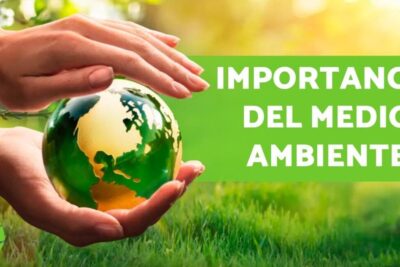 Hands gently cradling a green globe over grass for proteccion ambiente 3.